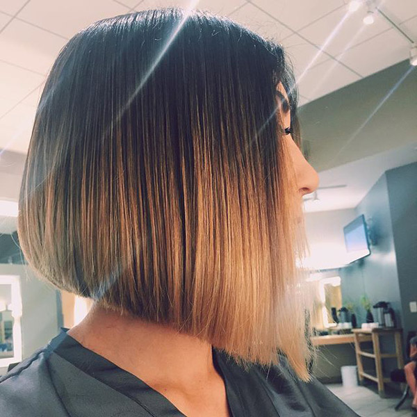 Half Brown Half Blonde Hairstyles: Sleek Half-and-Half Bob On Straight Hair